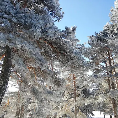 Park Rodopi 2*